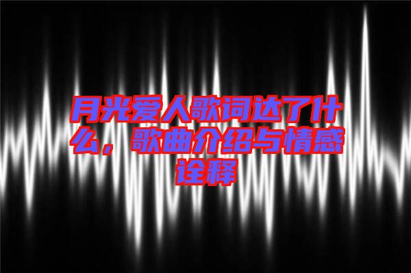 月光爱人歌词达了什么，歌曲介绍与情感诠释