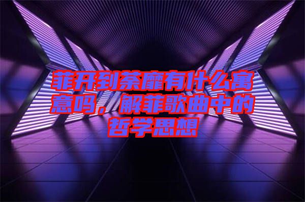 菲开到荼靡有什么寓意吗，解菲歌曲中的哲学思想