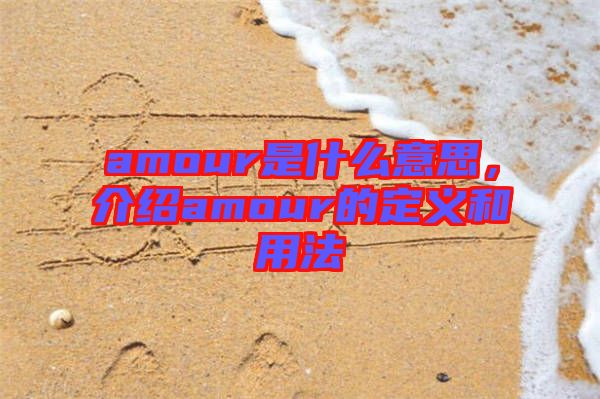 amour是什么意思，介绍amour的定义和用法