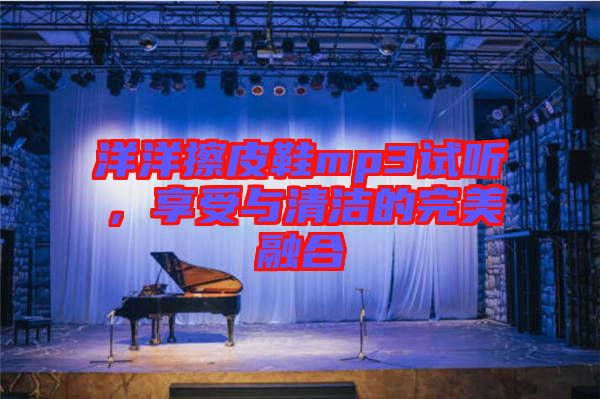 洋洋擦皮鞋mp3试听，享受与清洁的完美融合