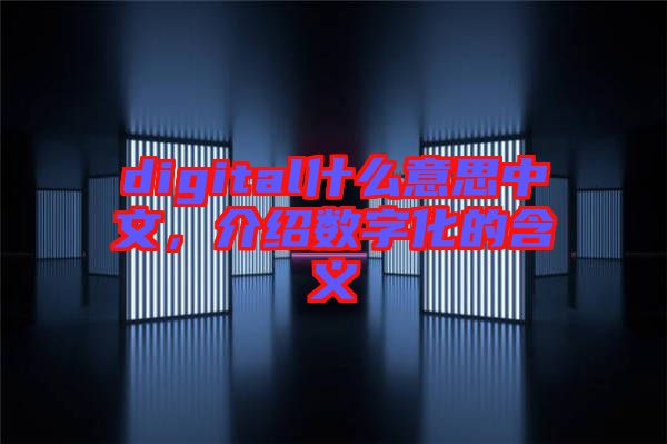 digital什么意思中文，介绍数字化的含义