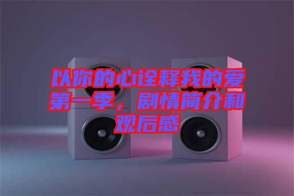 以你的心诠释我的爱第一季，剧情简介和观后感