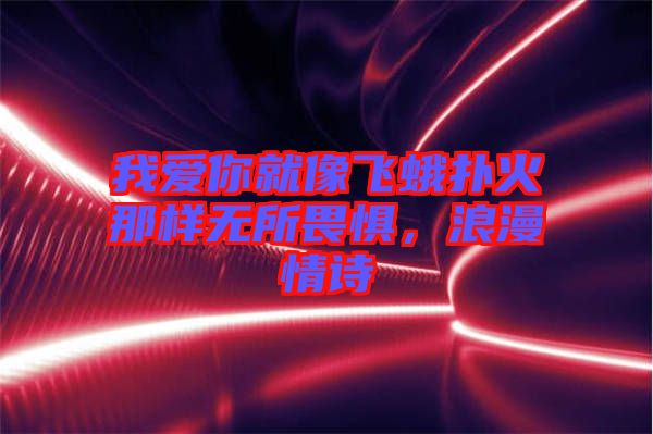 我爱你就像飞蛾扑火那样无所畏惧，浪漫情诗