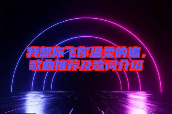 我想你飞你温柔的追，歌曲推荐及歌词介绍