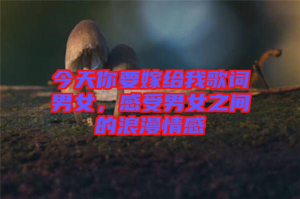 今天你要嫁给我歌词男女，感受男女之间的浪漫情感