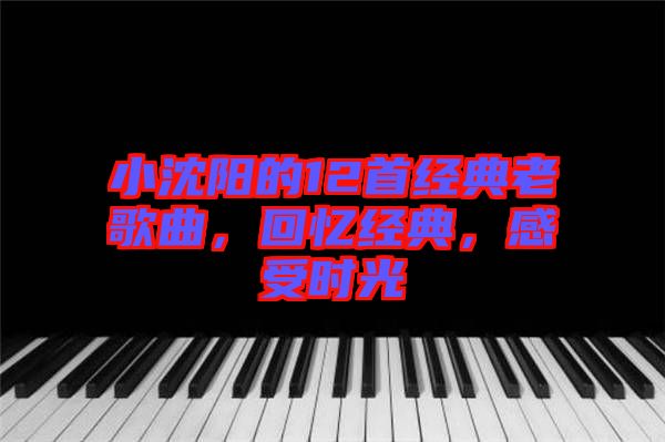 小沈阳的12首经典老歌曲，回忆经典，感受时光