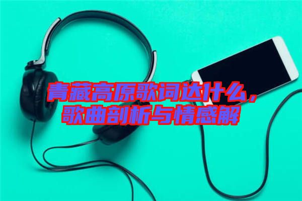 青藏高原歌词达什么，歌曲剖析与情感解