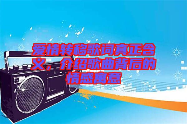 爱情转移歌词真正含义，介绍歌曲背后的情感寓意