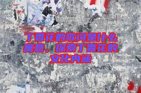 丁香花的歌词是什么寓意，探索丁香花的文化内涵
