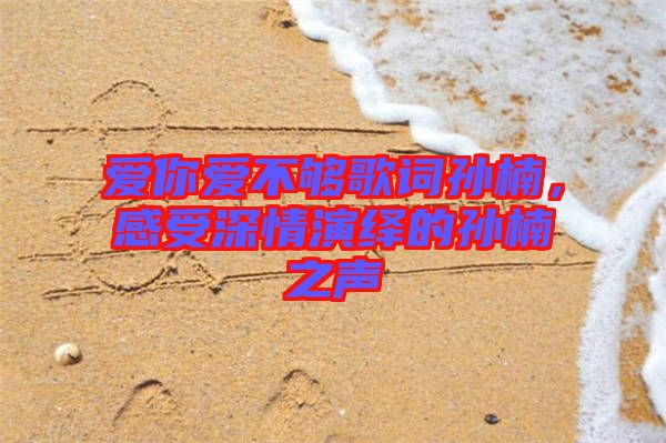 爱你爱不够歌词孙楠，感受深情演绎的孙楠之声