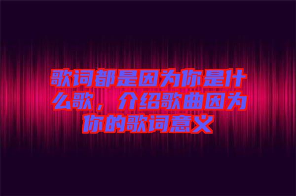 歌词都是因为你是什么歌，介绍歌曲因为你的歌词意义