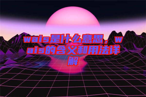 wais是什么意思，wais的含义和用法详解