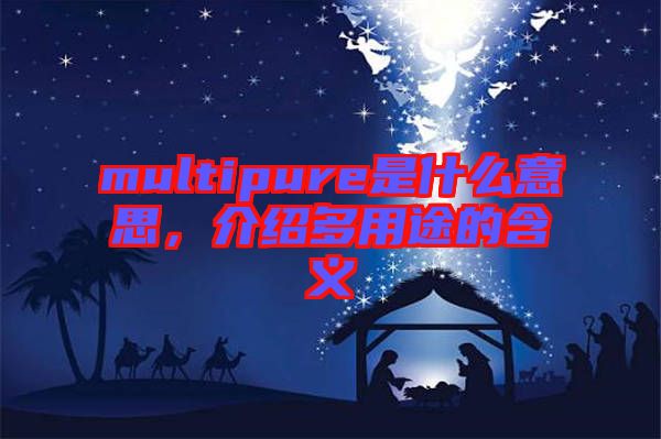 multipure是什么意思，介绍多用途的含义