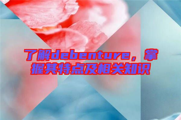 了解debenture，掌握其特点及相关知识