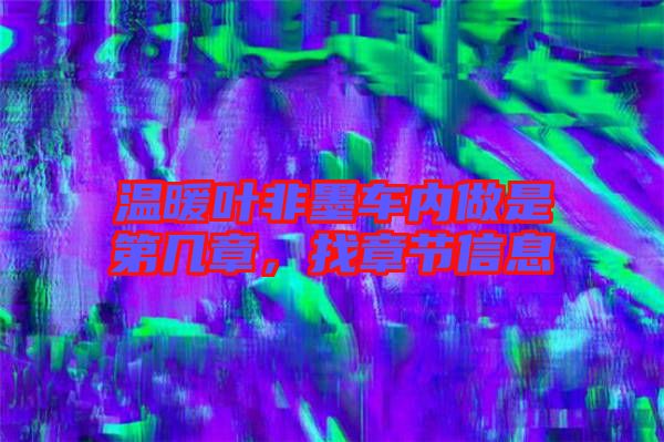 温暖叶非墨车内做是第几章，找章节信息