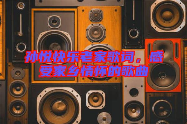 孙悦快乐老家歌词，感受家乡情怀的歌曲