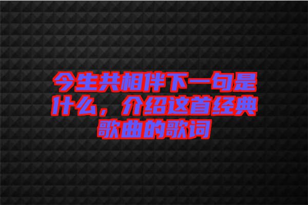 今生共相伴下一句是什么，介绍这首经典歌曲的歌词