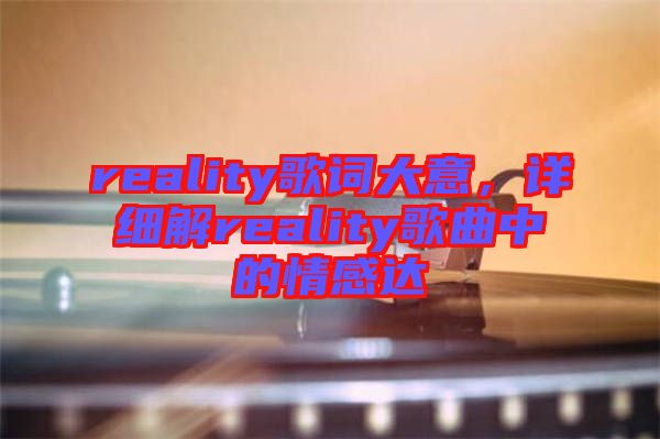 reality歌词大意，详细解reality歌曲中的情感达