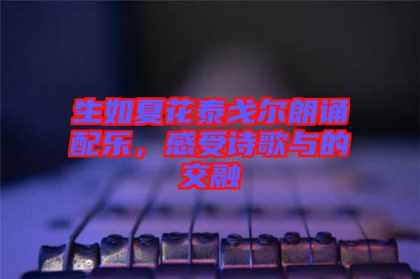 生如夏花泰戈尔朗诵配乐，感受诗歌与的交融