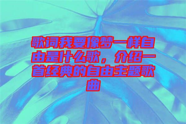 歌词我要像梦一样自由是什么歌，介绍一首经典的自由主题歌曲