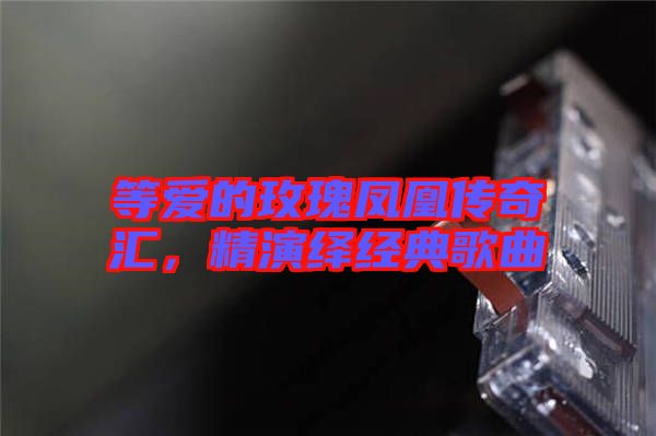 等爱的玫瑰凤凰传奇汇，精演绎经典歌曲