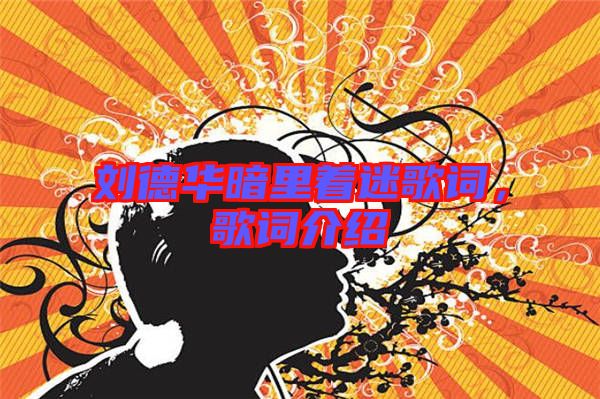 刘德华暗里着迷歌词，歌词介绍