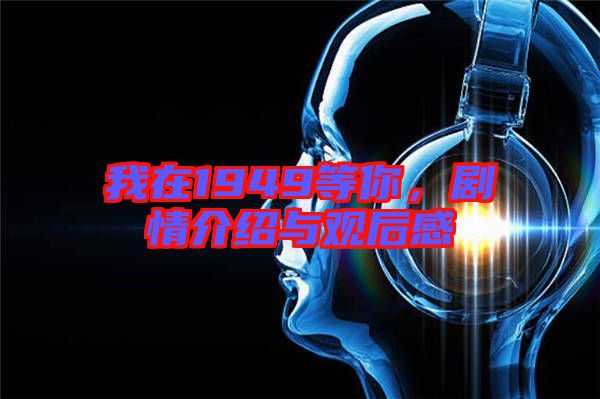 我在1949等你，剧情介绍与观后感