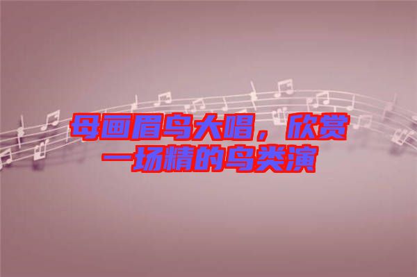 母画眉鸟大唱，欣赏一场精的鸟类演