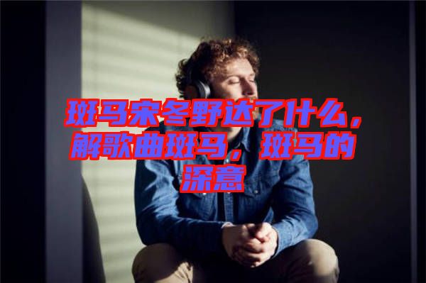 斑马宋冬野达了什么，解歌曲斑马，斑马的深意