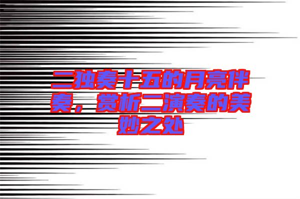 二独奏十五的月亮伴奏，赏析二演奏的美妙之处