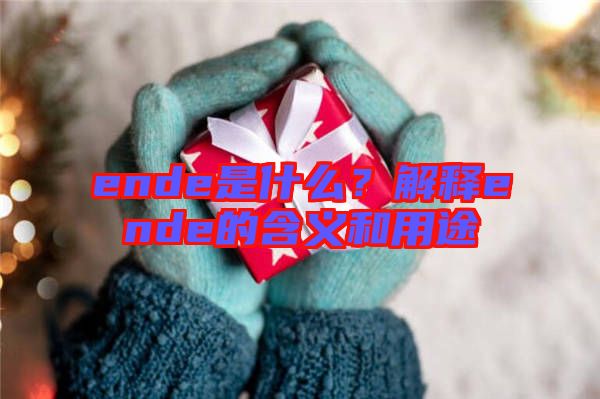 ende是什么？解释ende的含义和用途