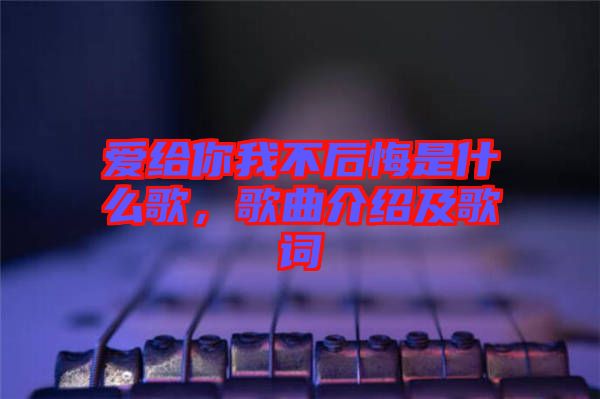 爱给你我不后悔是什么歌，歌曲介绍及歌词