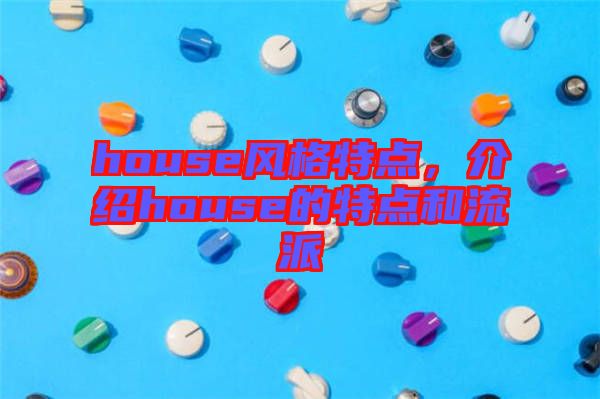 house风格特点，介绍house的特点和流派