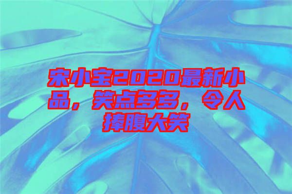 宋小宝2020最新小品，笑点多多，令人捧腹大笑