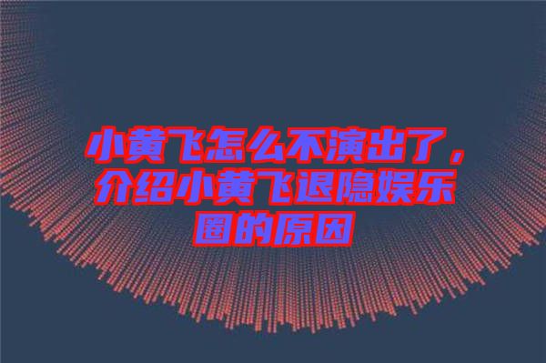 小黄飞怎么不演出了，介绍小黄飞退隐娱乐圈的原因