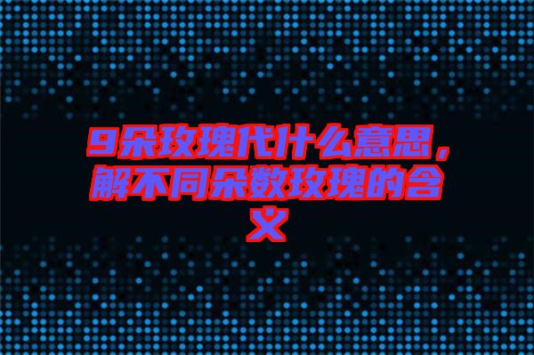 9朵玫瑰代什么意思，解不同朵数玫瑰的含义