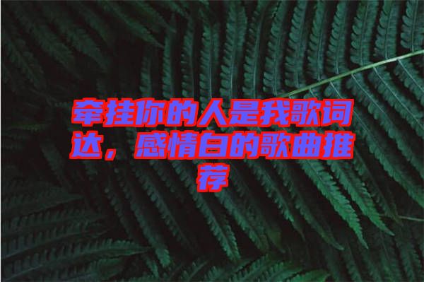 牵挂你的人是我歌词达，感情白的歌曲推荐