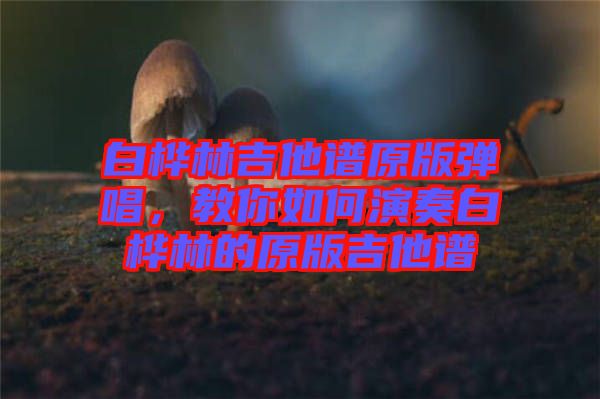 白桦林吉他谱原版弹唱，教你如何演奏白桦林的原版吉他谱