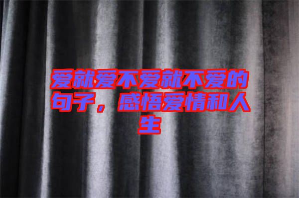 爱就爱不爱就不爱的句子，感悟爱情和人生