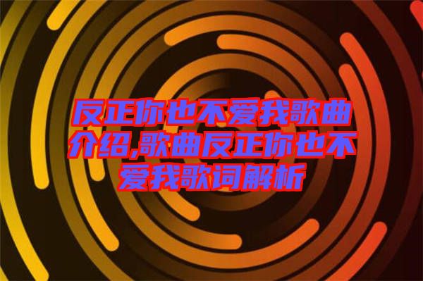 反正你也不爱我歌曲介绍,歌曲反正你也不爱我歌词解析