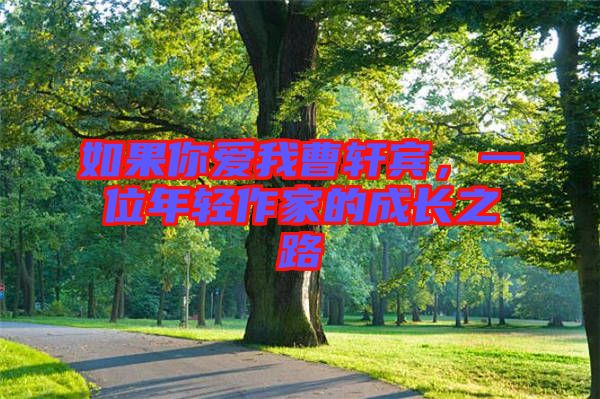 如果你爱我曹轩宾，一位年轻作家的成长之路