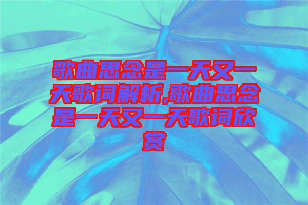 歌曲思念是一天又一天歌词解析,歌曲思念是一天又一天歌词欣赏