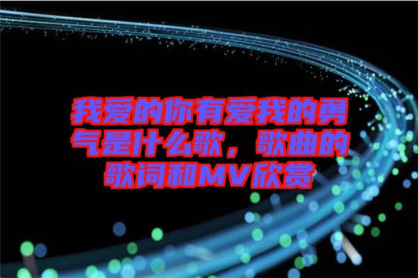 我爱的你有爱我的勇气是什么歌，歌曲的歌词和MV欣赏