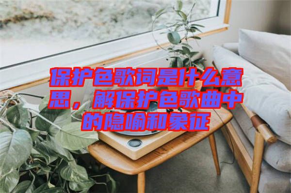 保护色歌词是什么意思，解保护色歌曲中的隐喻和象征