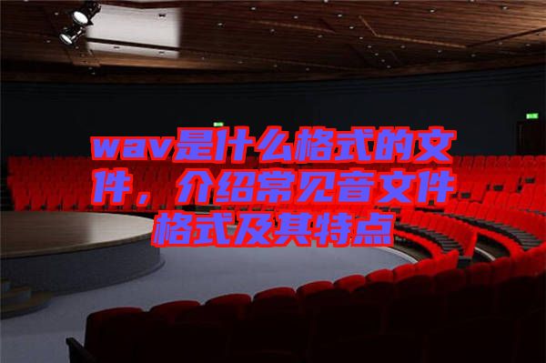 wav是什么格式的文件，介绍常见音文件格式及其特点