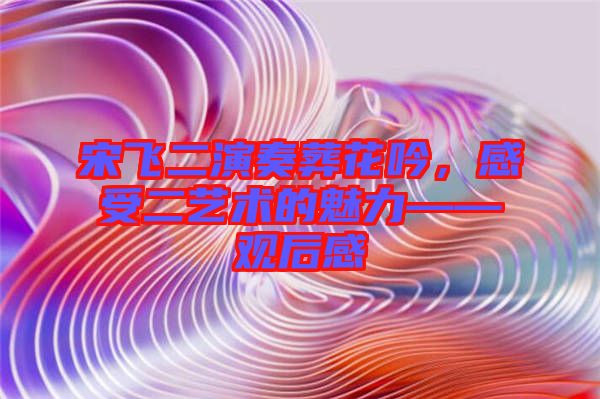 宋飞二演奏葬花吟，感受二艺术的魅力——观后感