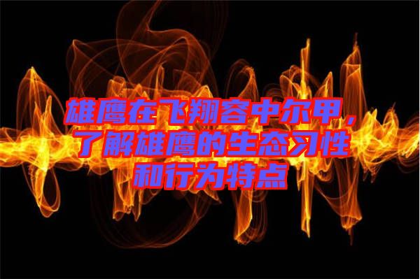 雄鹰在飞翔容中尔甲，了解雄鹰的生态习性和行为特点