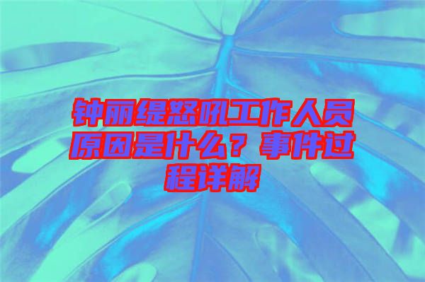 钟丽缇怒吼工作人员原因是什么？事件过程详解
