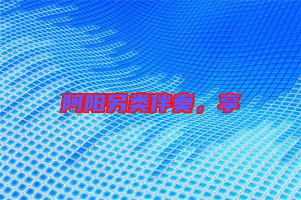 阿阳另类伴奏，享